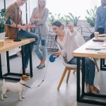 5 Ways to Redesign an Office to Fit Your Business Needs