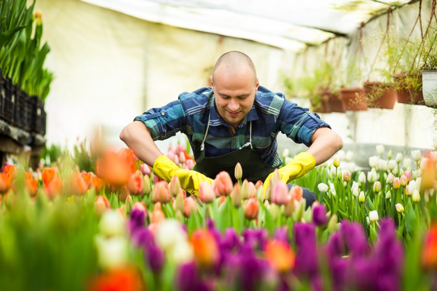 The Main Target Markets for a Gardening Business