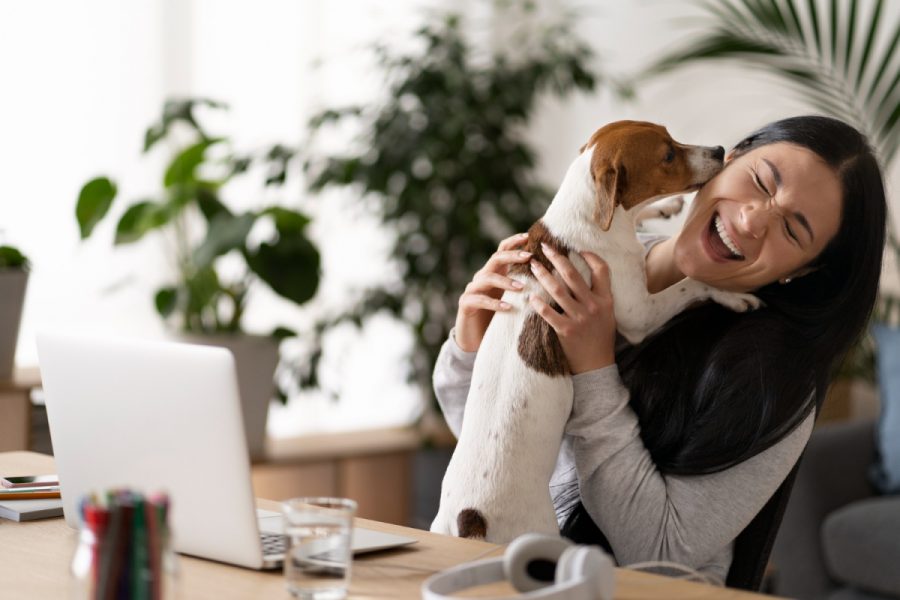 9 Business Ideas for Pet Lovers