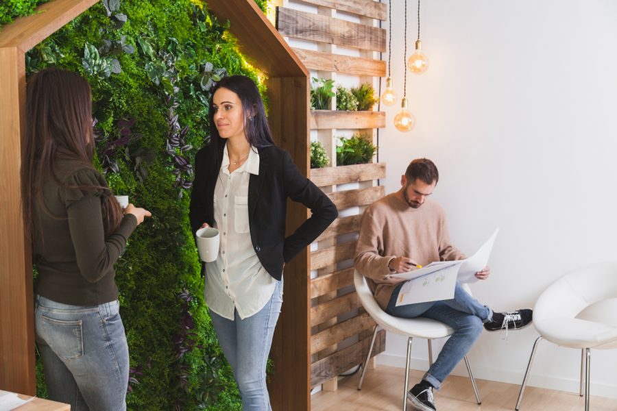 Co-Working for Wellness: Designing Spaces for Mental Health